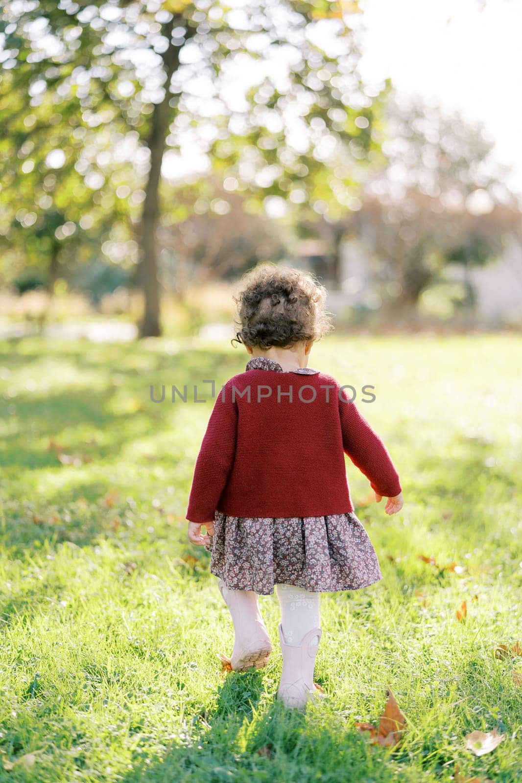 Little girl walks in the autumn park among the fallen leaves, looking under her feet. Back view. High quality photo