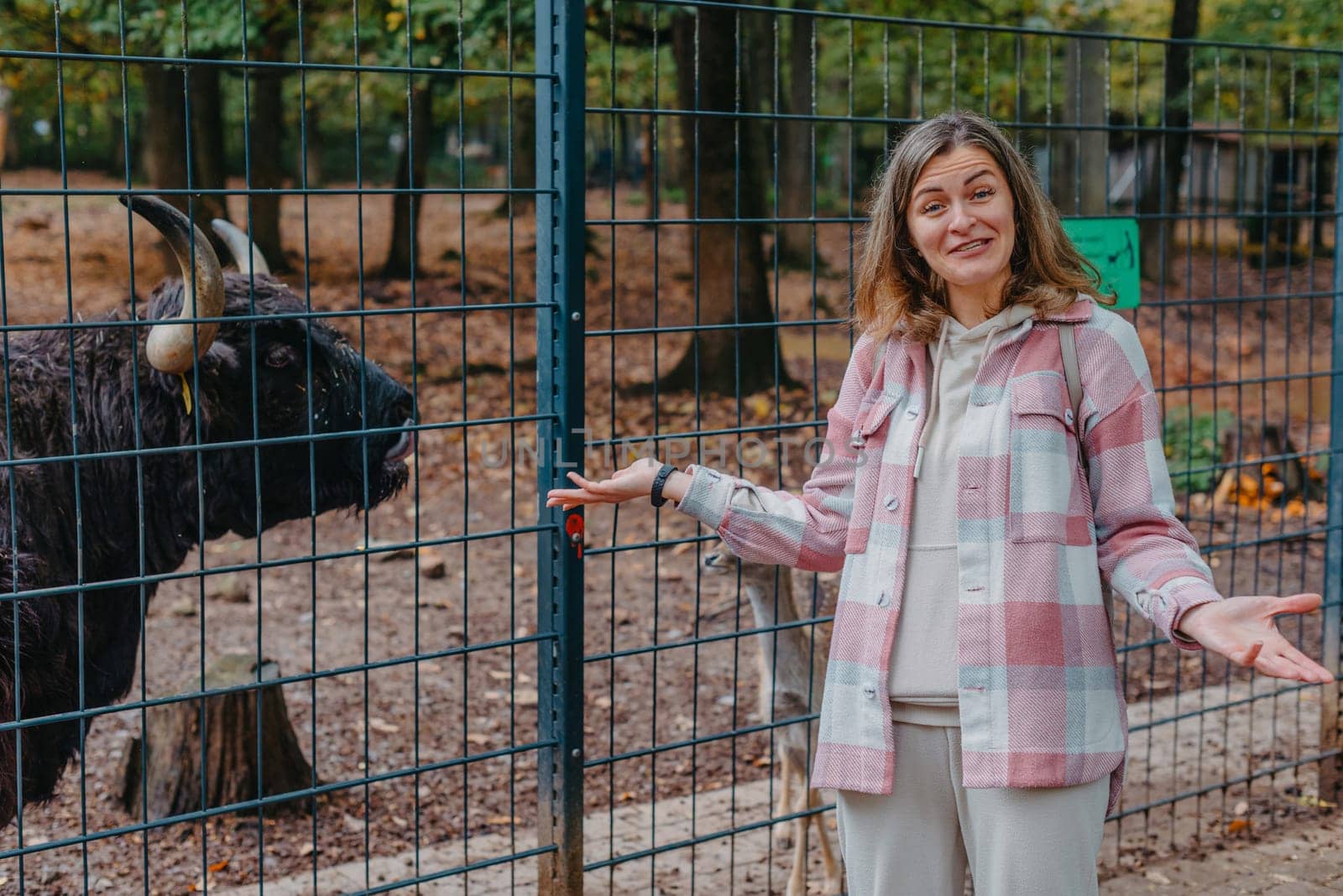 Beautiful girl in a coat feeding buffalo. Grl feeding buffalo at animal farm. Bison face under fencing paddock. by Andrii_Ko