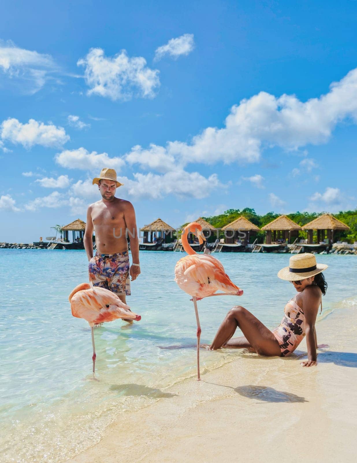 Couple of men and women on the Aruba beach with pink flamingos Aruba Island Caribbean. by fokkebok