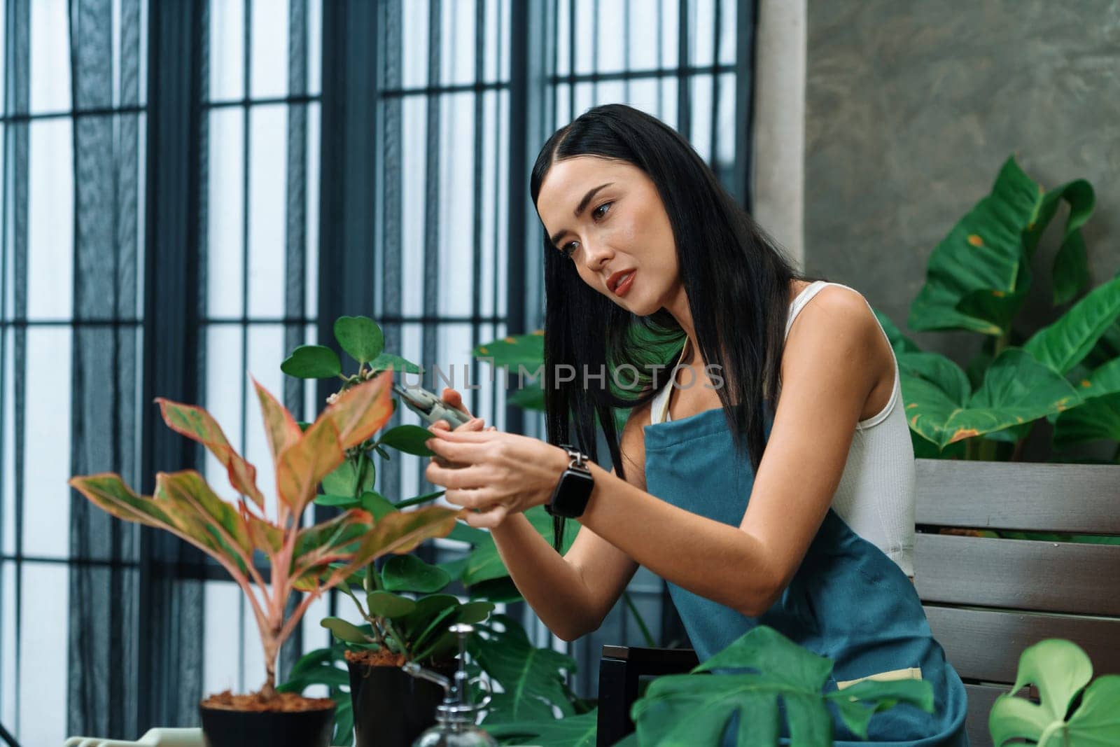 Young female gardener a to tropical plant in minimalist garden. Blithe by biancoblue