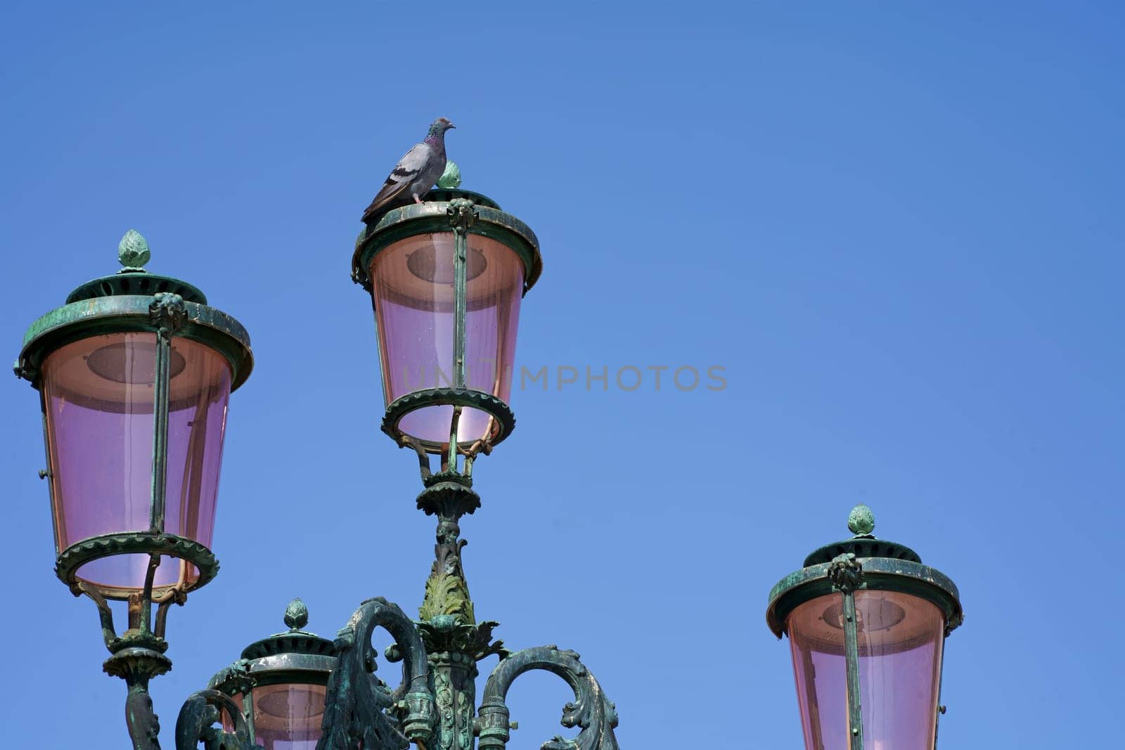 Lantern on the street of Venice. Pink lights of Venice. Four lamps with pink glass are on an ornate black metal lamp post