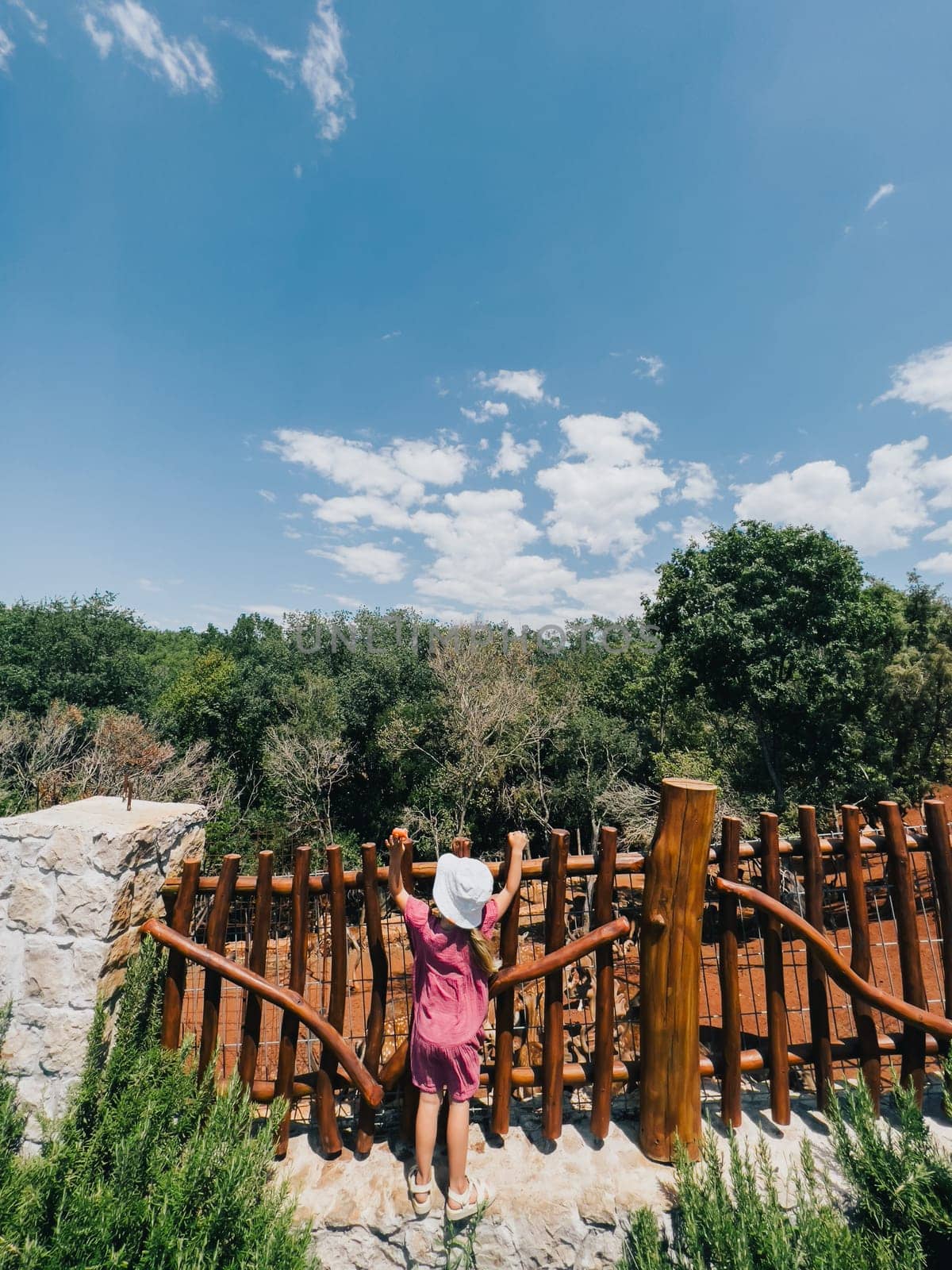 Little girl stands near a wooden fence in the park and throws a carrot to the deer. High quality photo