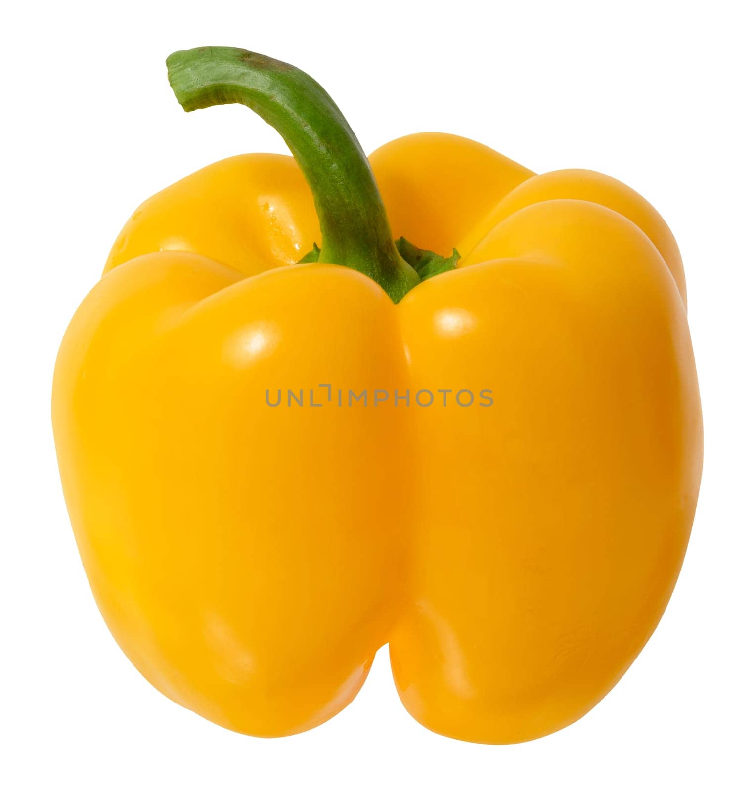 Whole yellow bell pepper isolated on white background, juicy and healthy vegetable by ndanko