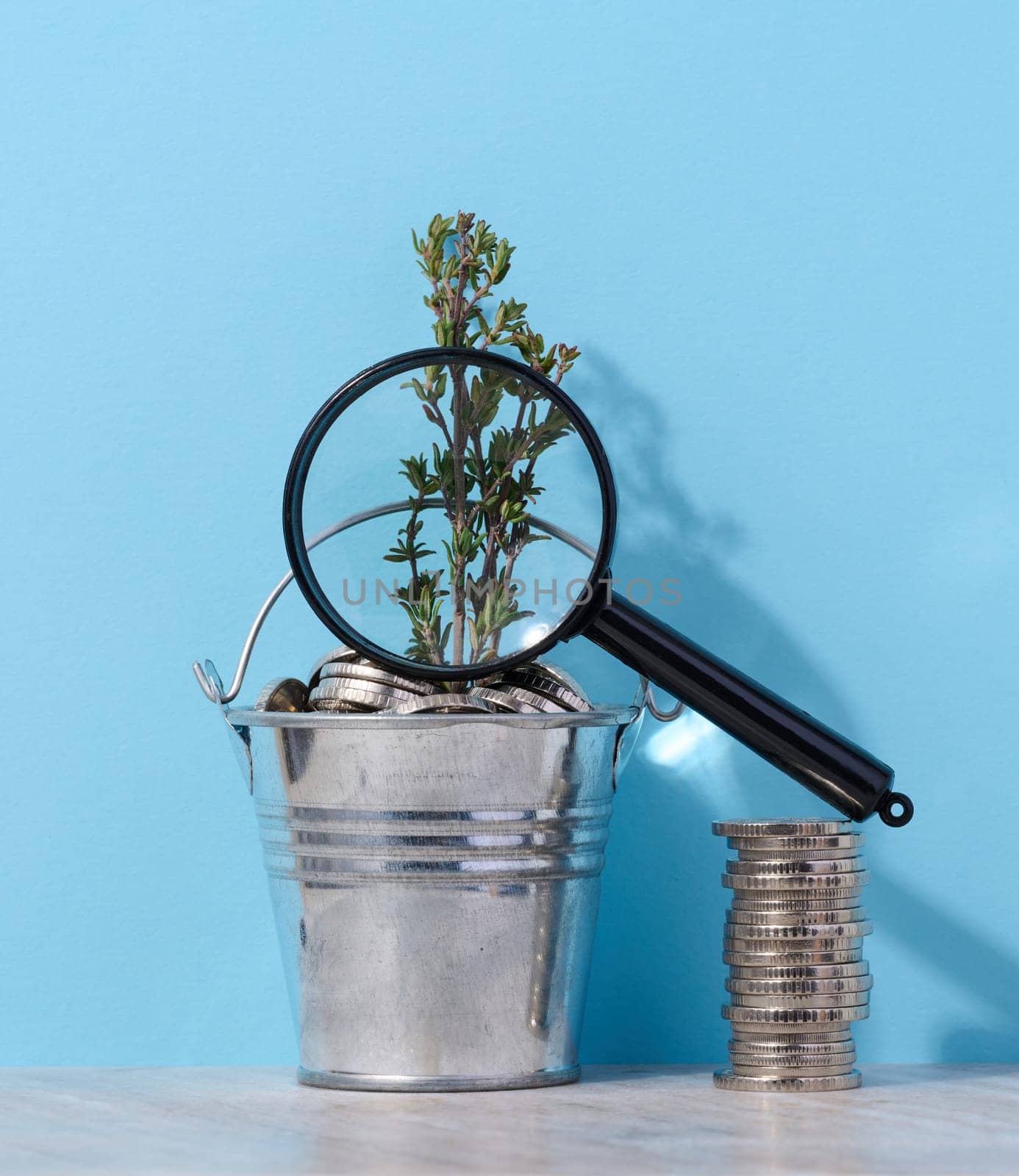 Coins in a small bucket and a plant, income growth concept by ndanko