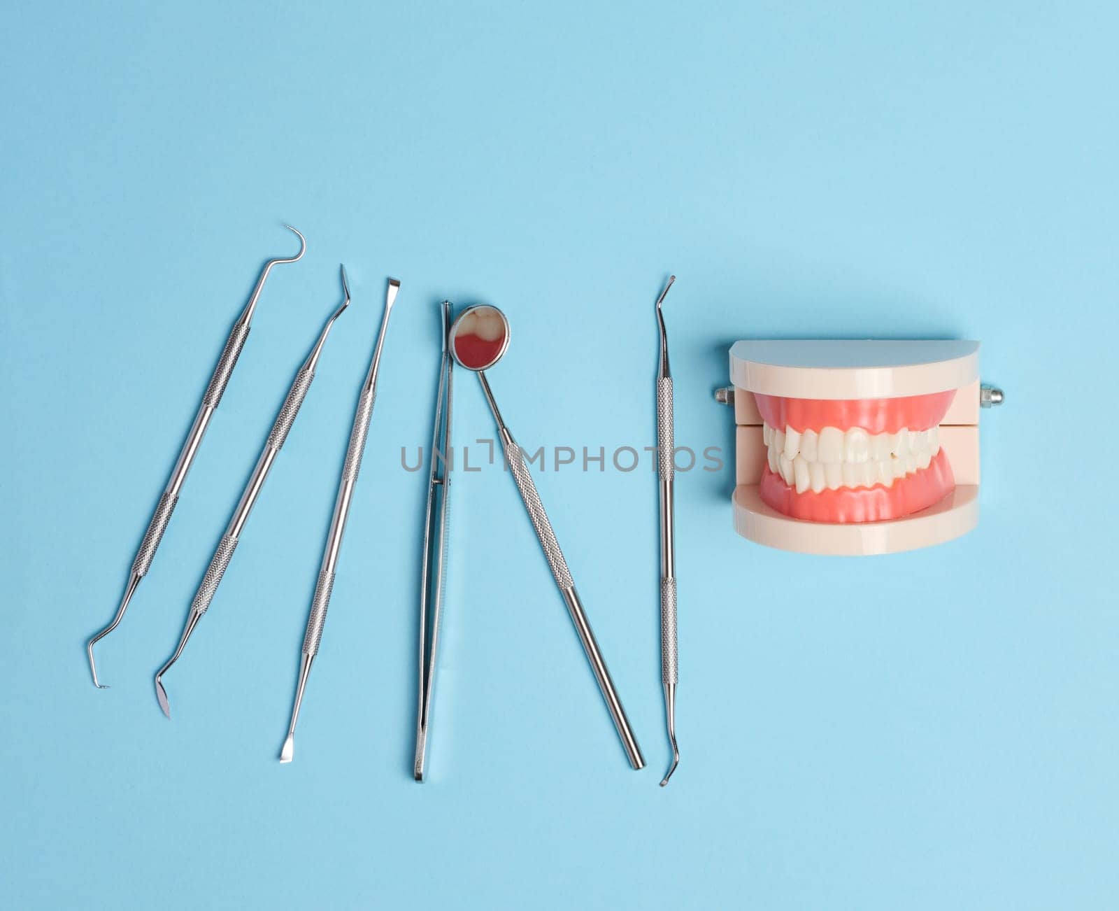 Plastic model of human jaw with white even teeth and a medical examination mirror by ndanko