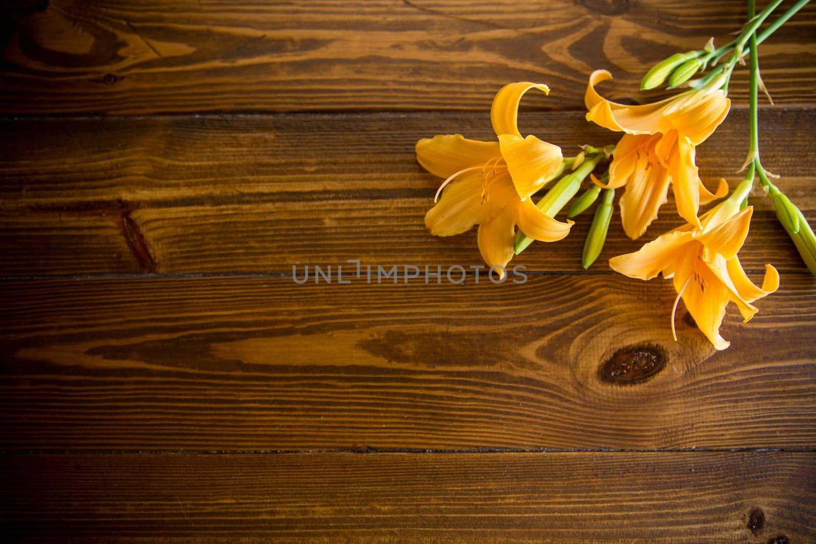 bouquet of beautiful yellow lilies on wooden table by Rawlik