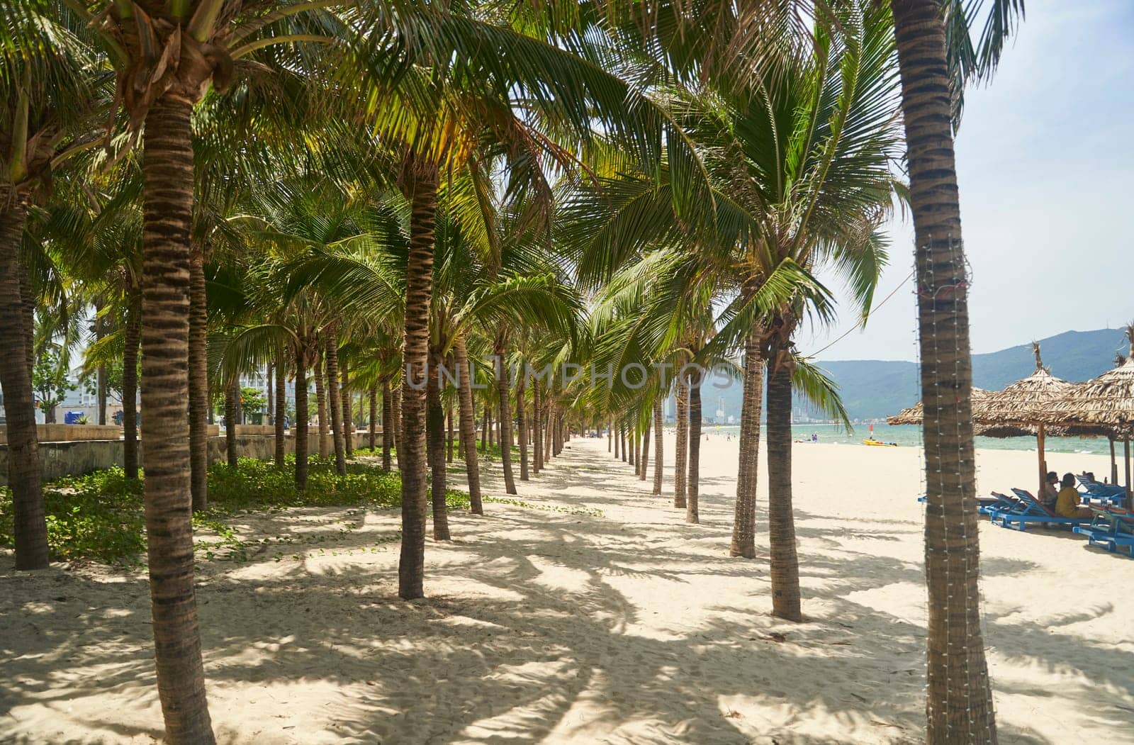 Da Nang, Viet nam - 28.06.2023: Promenade with palm trees and cafes on My Khe beach in Da Nang. High quality photo