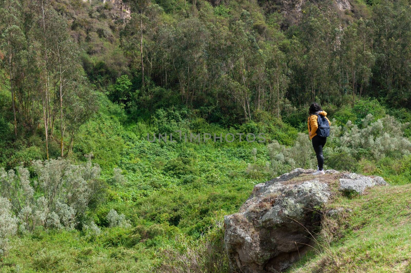 copy space of lush landscape of Colombia where a young woman from Ecuador is on the top observing the vegetation on a sunny summer day. High quality photo