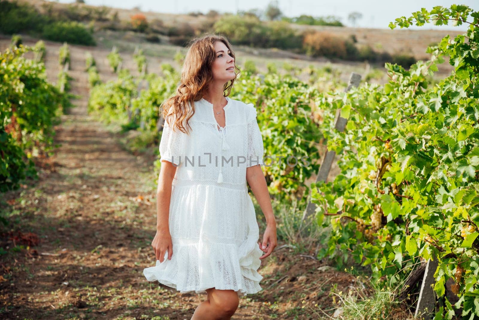 Beautiful woman in white dress collects grapes in the garden