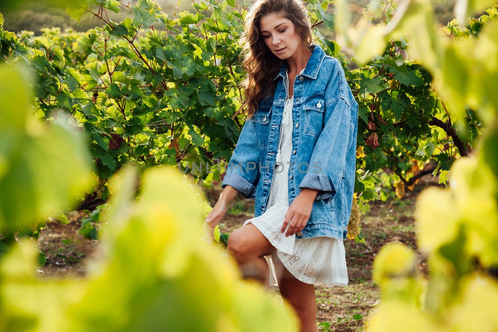 beautiful woman in white dress and denim jacket in the vineyards by Simakov