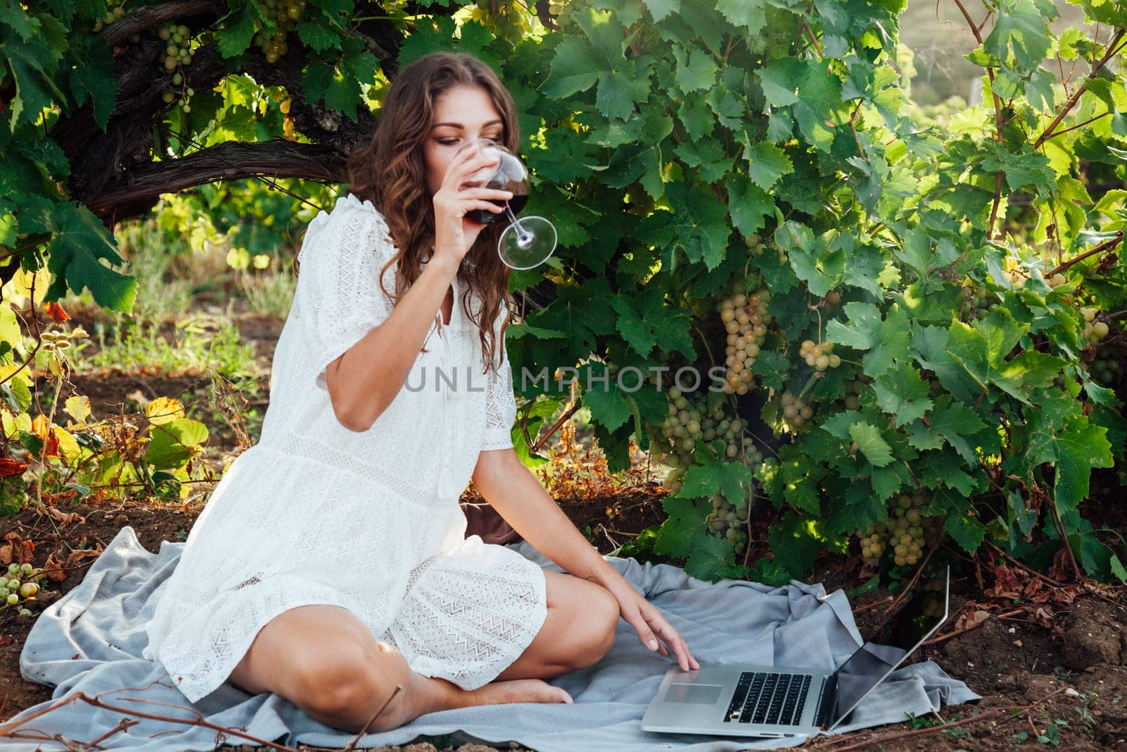 woman at a picnic with a laptop in the vineyards by Simakov