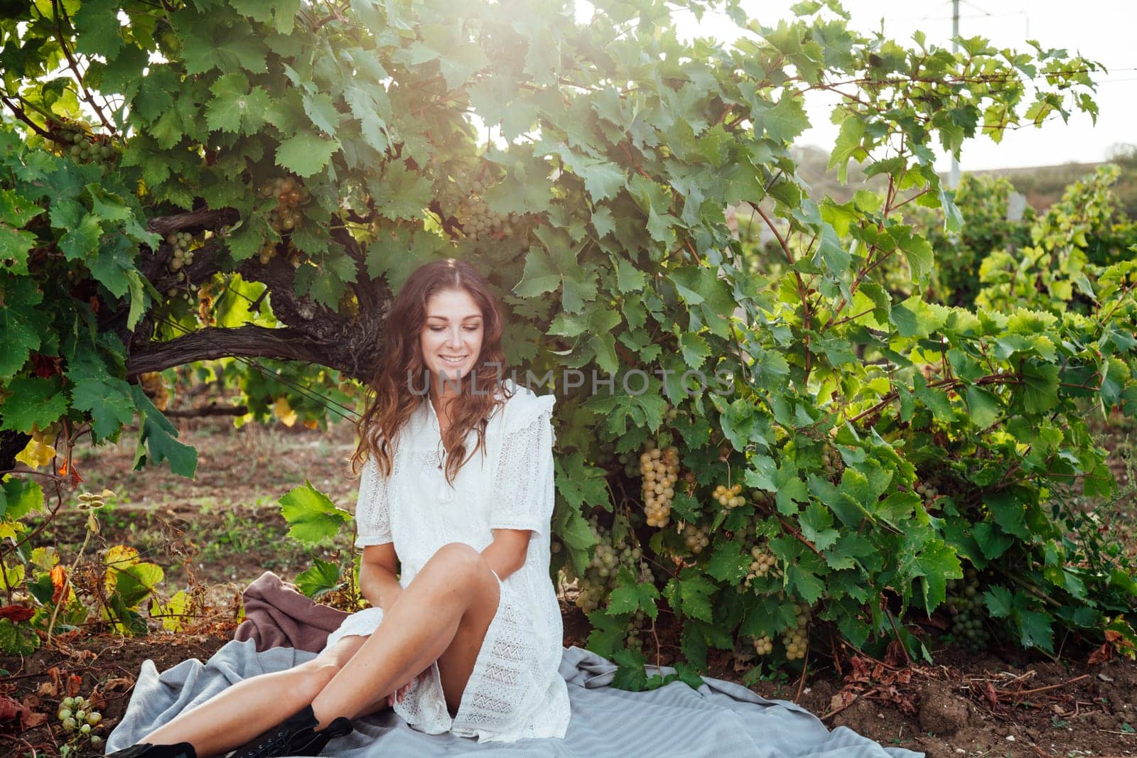 beautiful woman in white dress at a picnic with a laptop in the vineyards