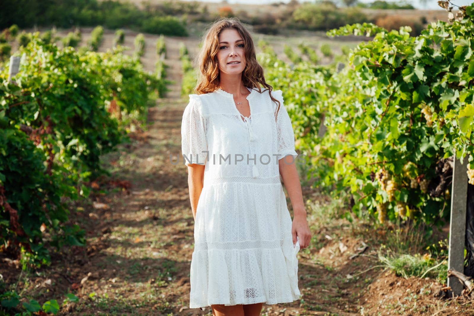 Beautiful woman in white dresses vineyards harvest