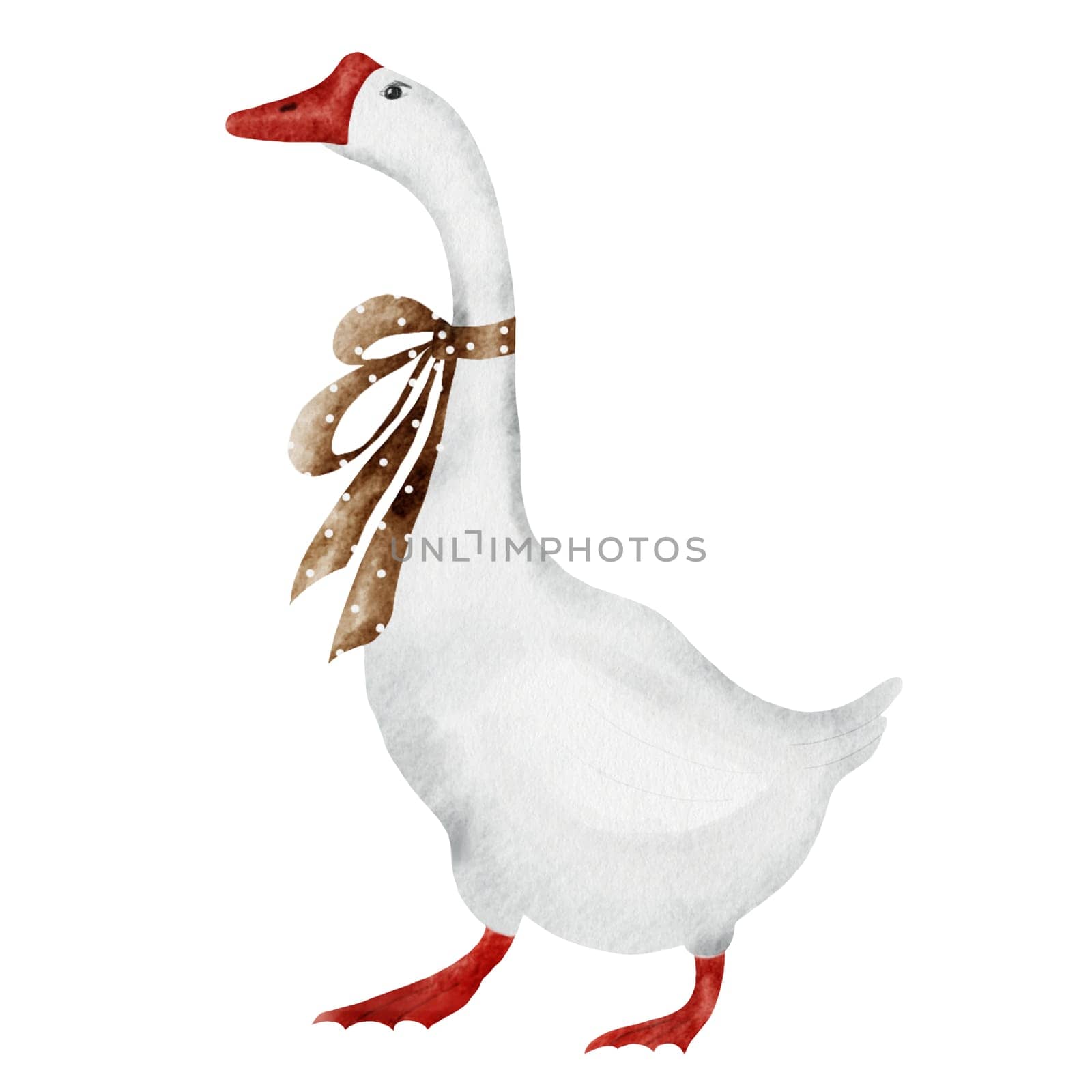 Watercolor drawing of a vintage goose with a brown bow. Cute elegant bird on a white background isolate. For postcards and stickers. by TatyanaTrushcheleva
