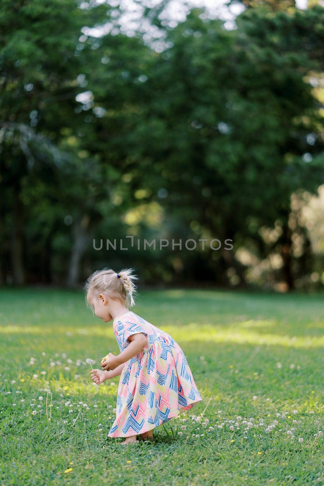 Little girl leans over a dandelion standing on a green meadow. Side view. High quality photo