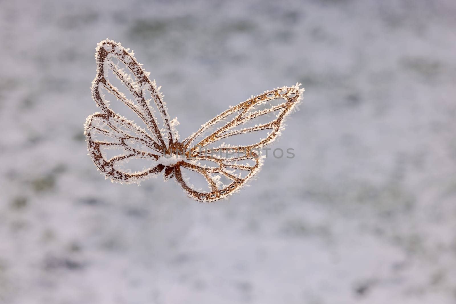 Metal butterfly hovering and flying in the garden with ice crystals and snow in winter in the garden