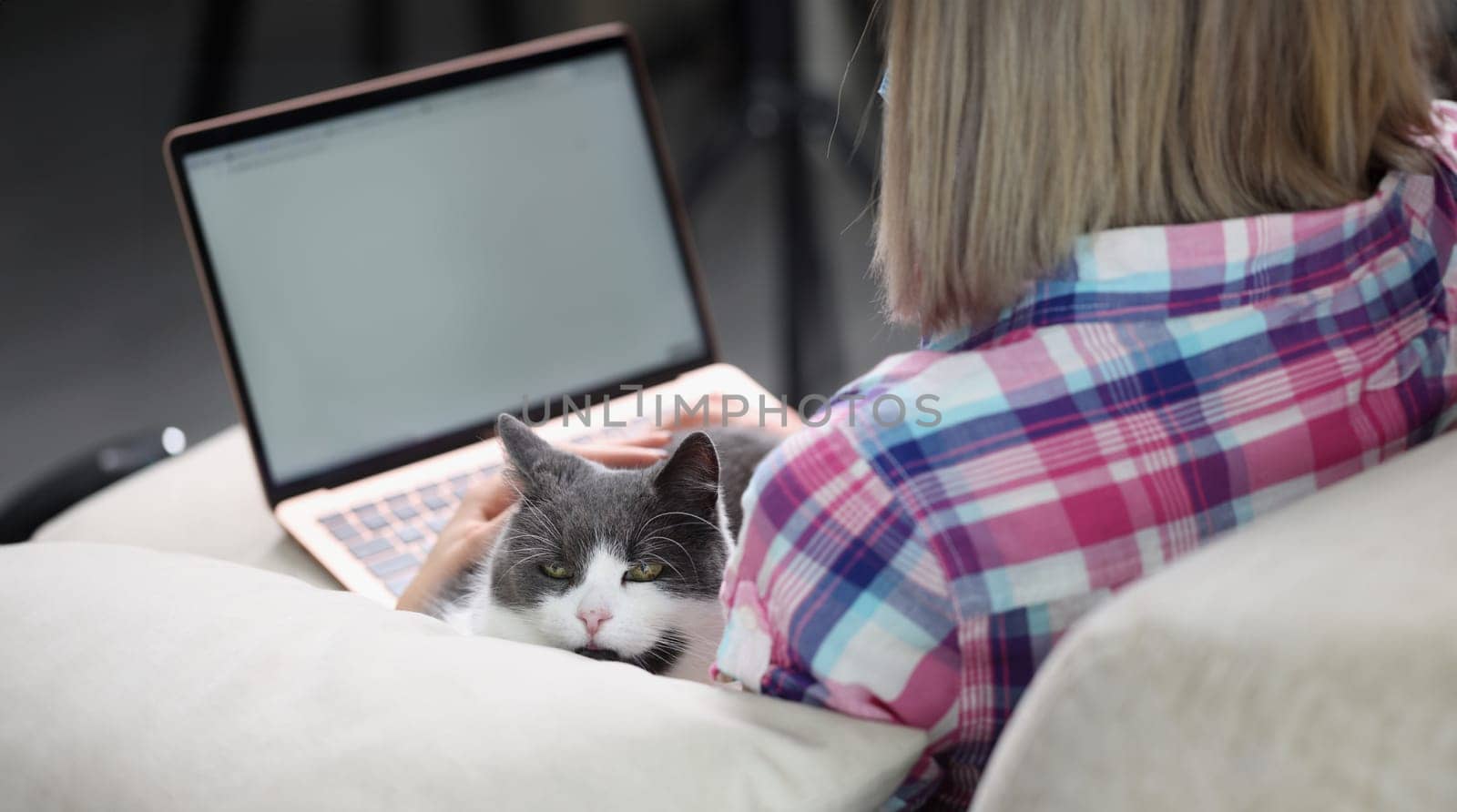Woman is working on laptop with cat on couch. Freelance remote work or home surfing Internet with pets