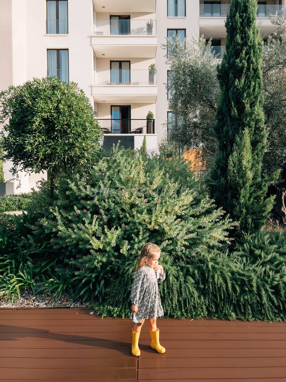 Little girl stands on a wooden deck near a flowering juniper bush in the garden. High quality photo