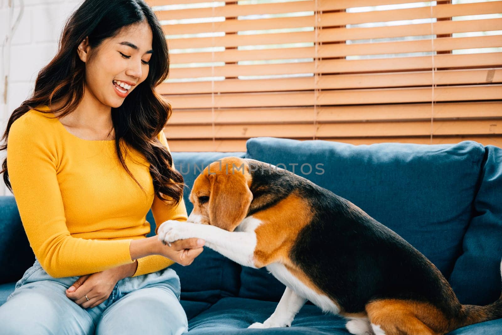 In their cozy house, a woman and her Beagle dog create a delightful portrait of loyalty and friendship on the sofa. The cute dog's playful antics bring joy to their exclusive time together. Pet love