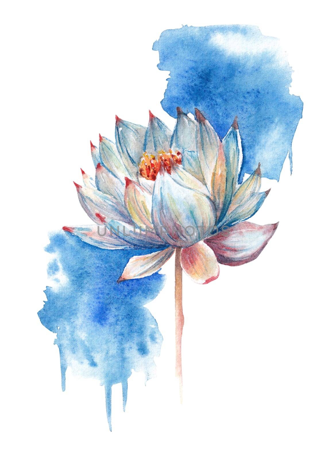 Watercolor lotus flower isolated on white background with watercolor splashes, tropical invitation, invitation flower card. Hand drawn illustration