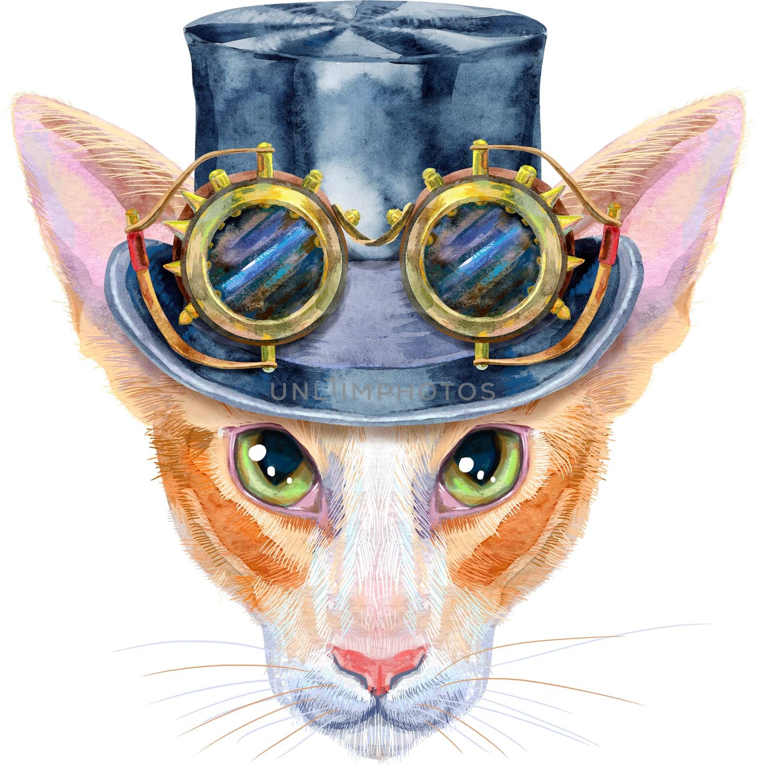 Lovely closeup portrait oriental cat in steampunk hat with googles. Hand drawn water colour painting on white background by NataOmsk