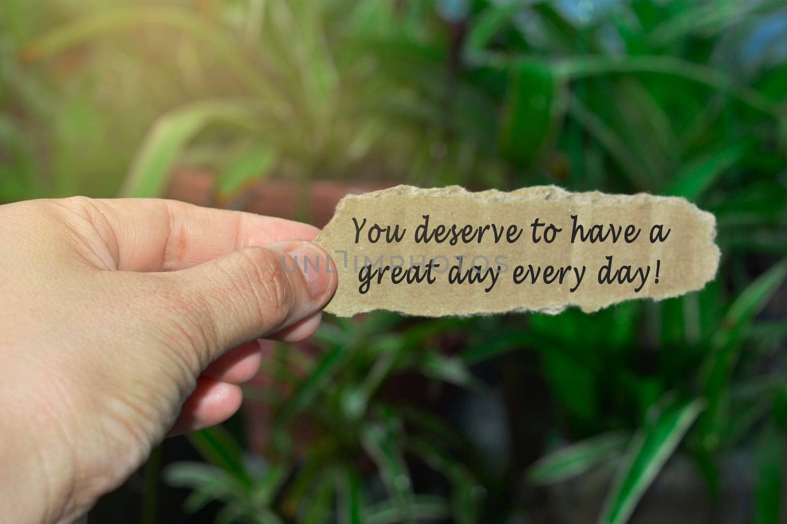 Hand holding torn paper with text on blurred green background - You deserve to have a great day every day.