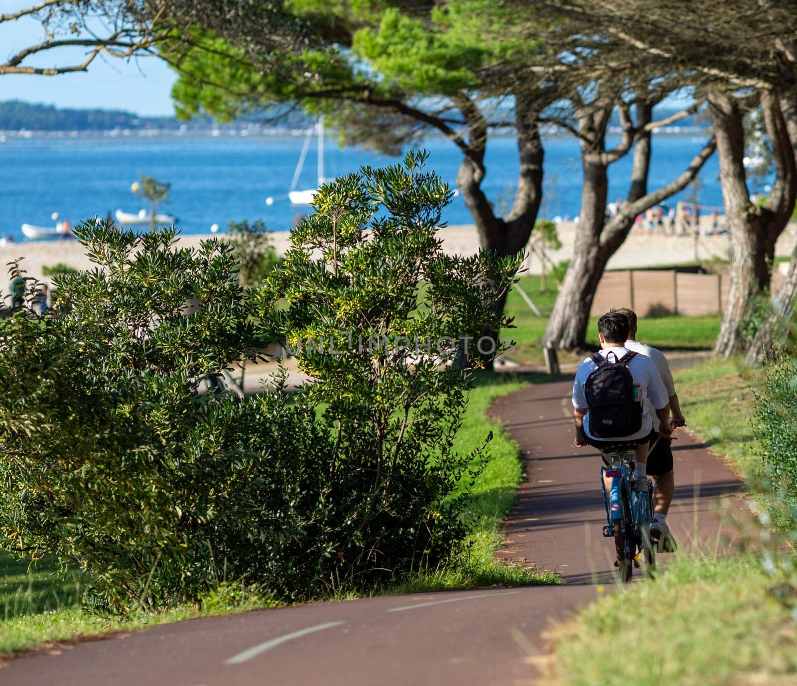 Person riding a bicycle on a cycle path a sunny day