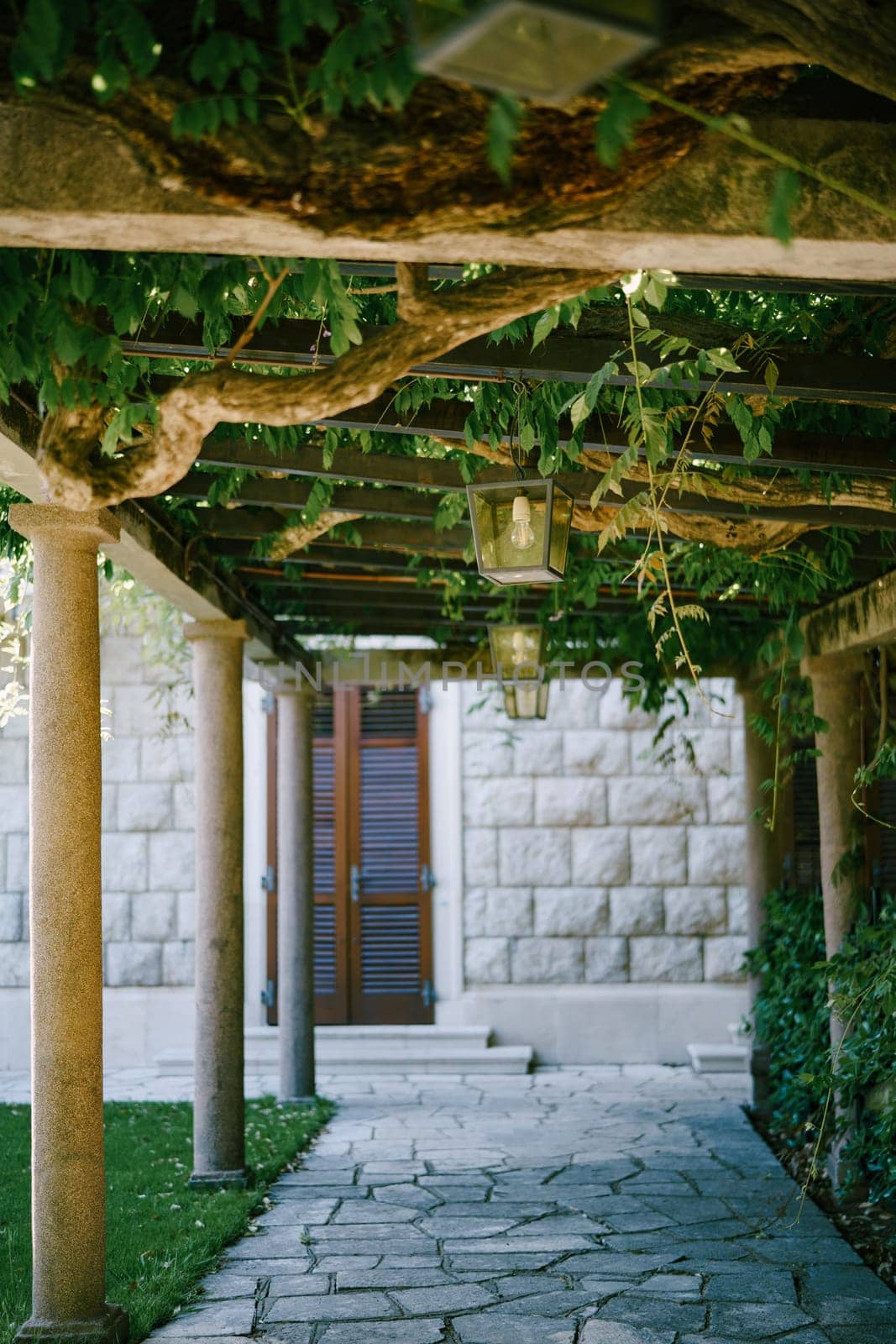 Yellow lanterns hang from the beams of a pergola entwined with green branches in the garden. High quality photo