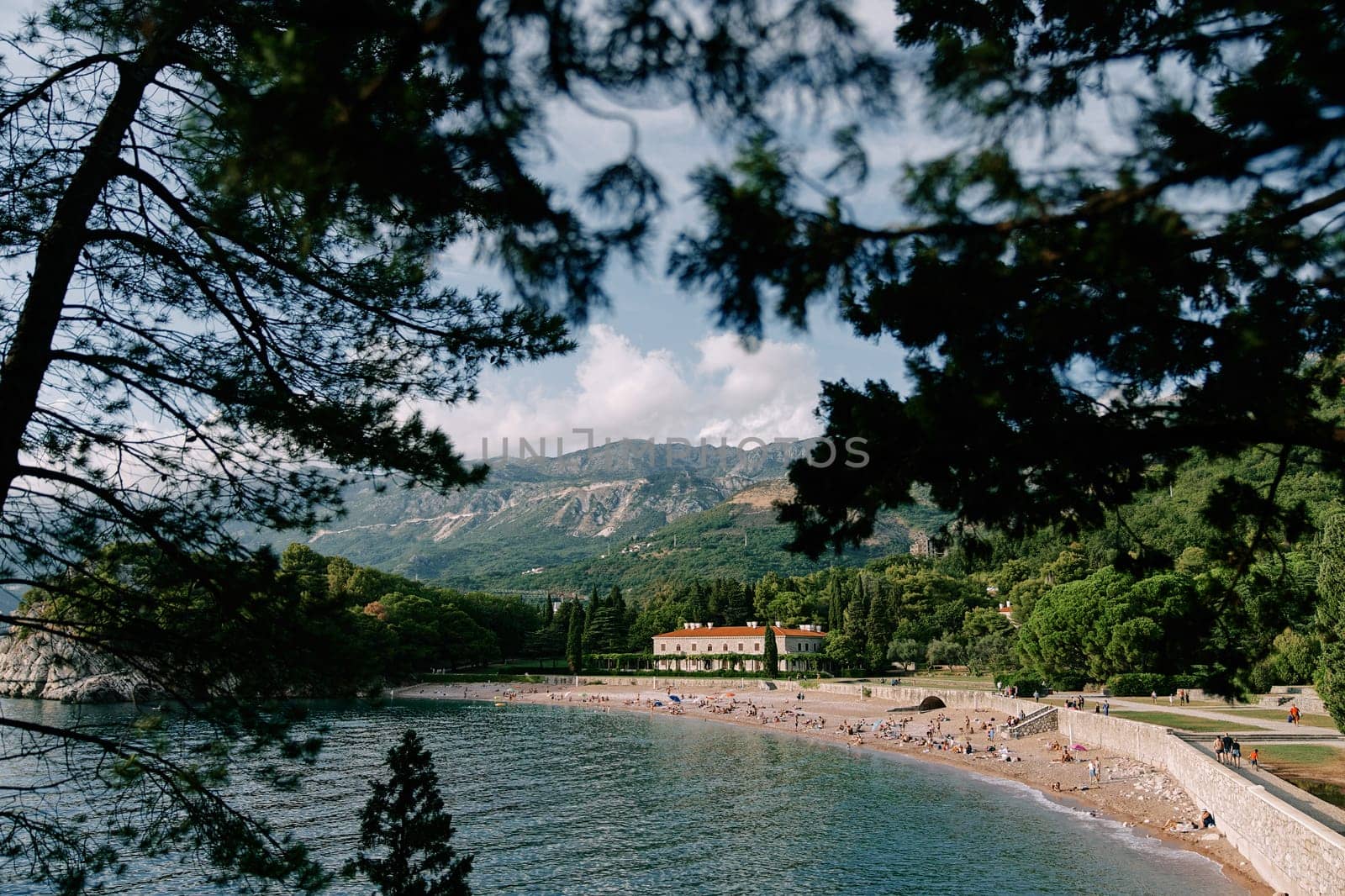 View through green branches to the beach near Villa Milocer. Montenegro. High quality photo