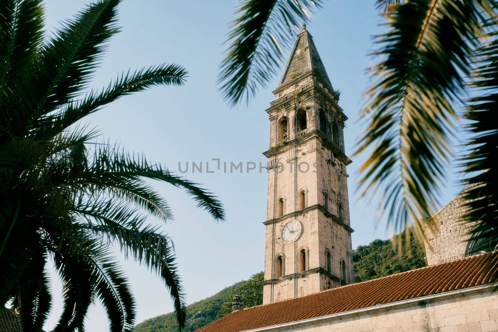 View through palm branches to the high bell tower of the Church of St. Nicholas. Perast, Montenegro by Nadtochiy