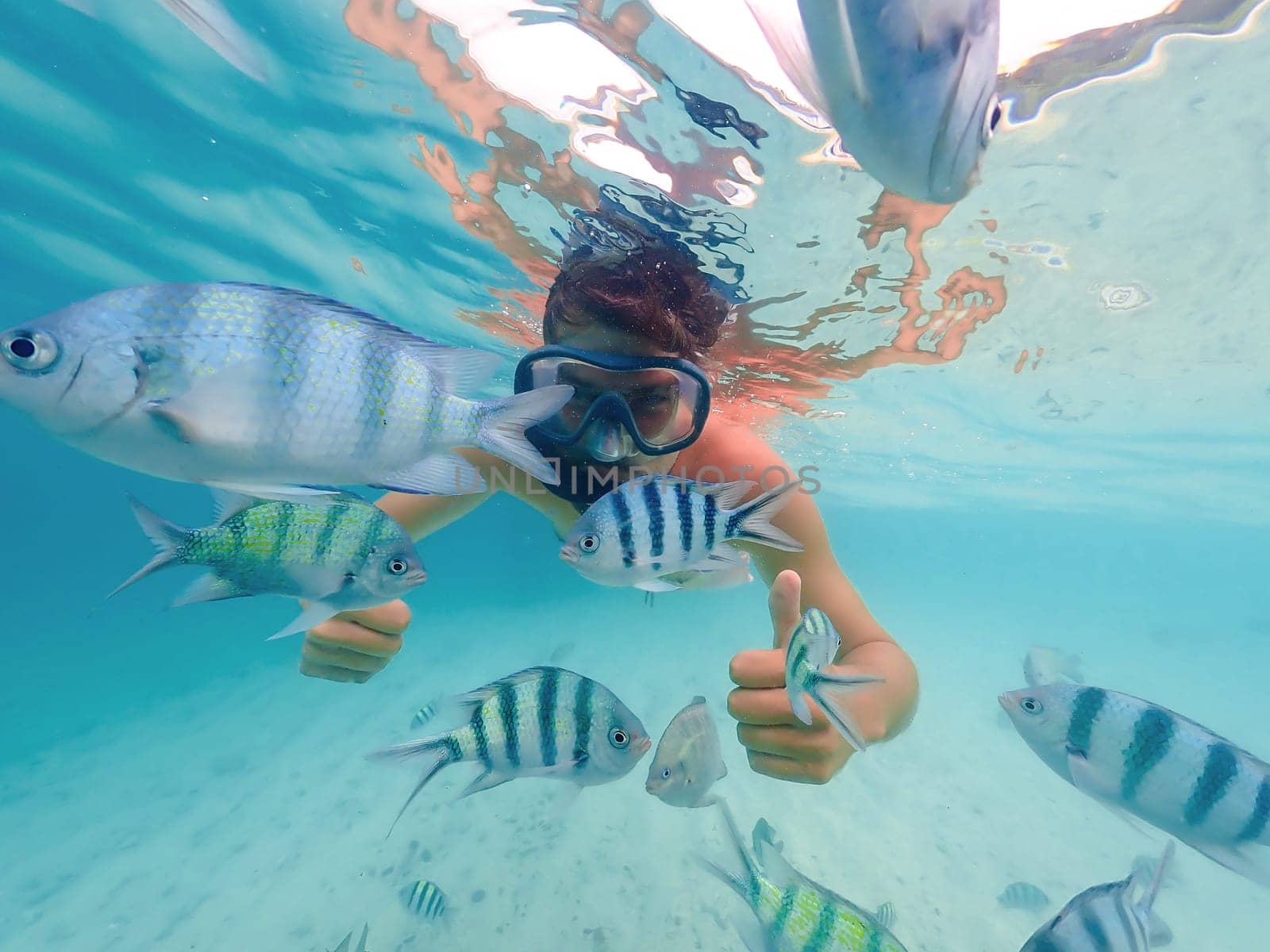 snorkeling trip at Samaesan Thailand dive underwater with fishes in the coral reef sea pool by fokkebok