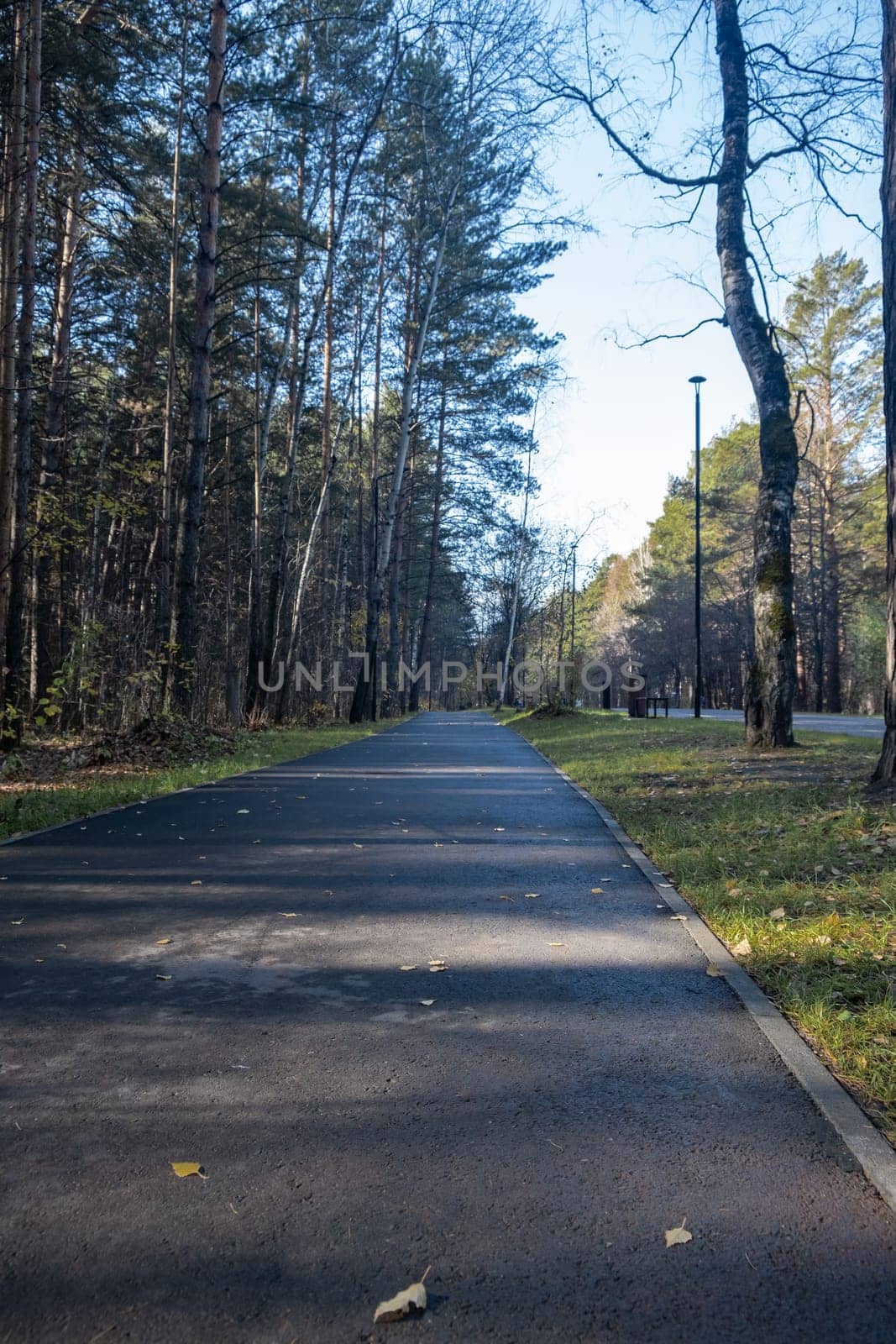 Walking path in a city park. Pedestrian path made in the forest. by AnatoliiFoto