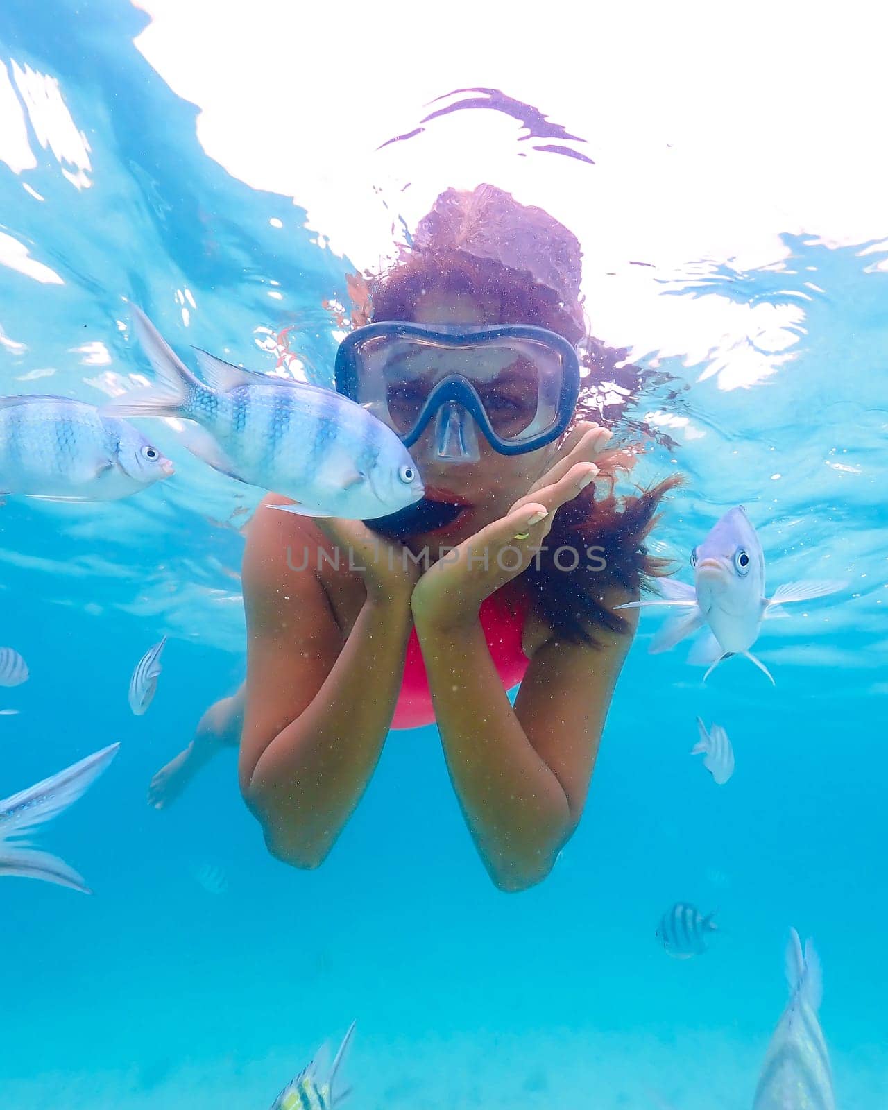 Asian woman on a snorkeling trip at Samaesan Thailand. dive underwater with Nemo Clown fishes in the coral reef sea pool.