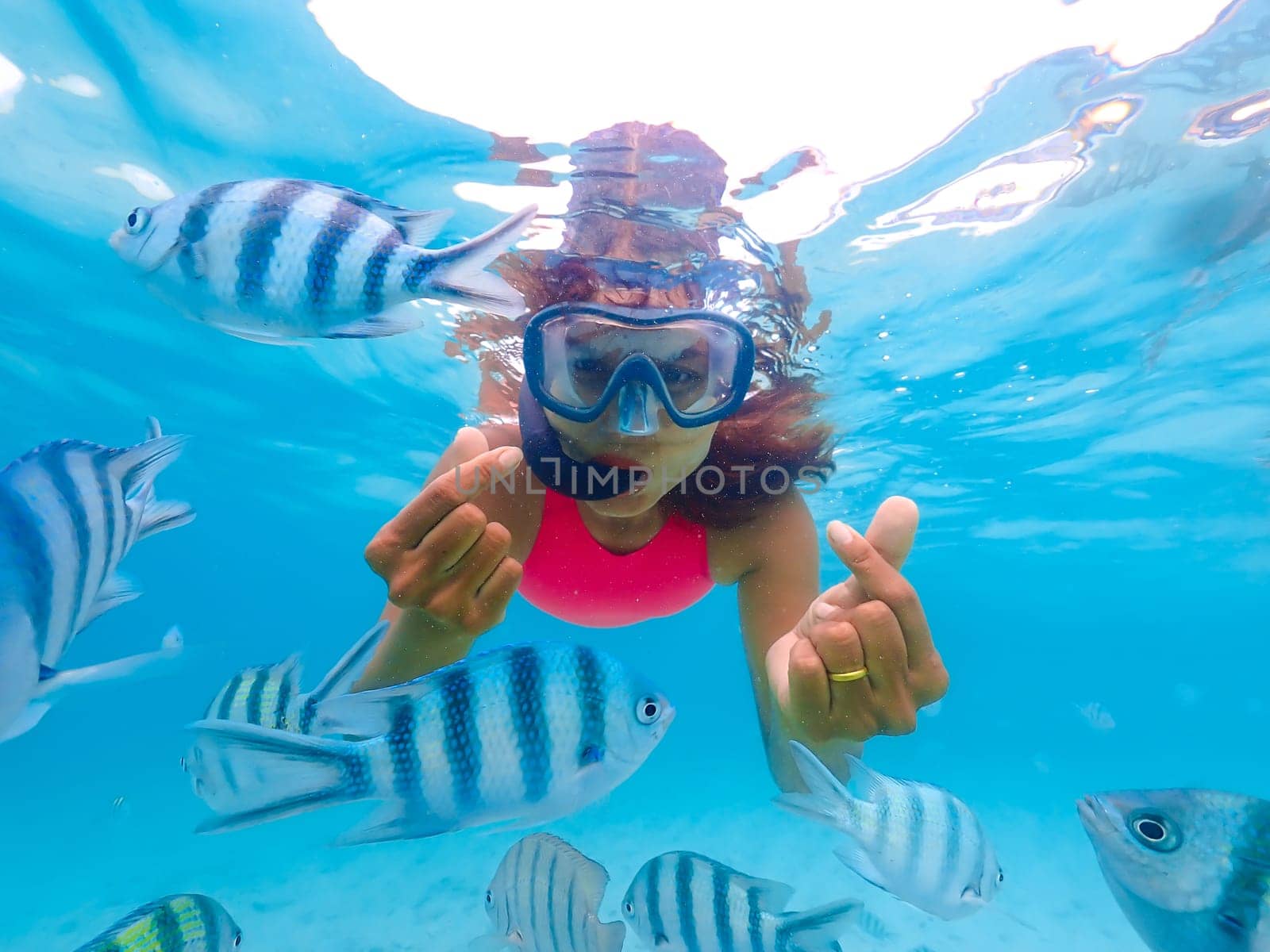 Asian woman on a snorkeling trip at Samaesan Thailand. dive underwater with Nemo fishes in the coral reef sea pool. swim activity on a summer beach holiday