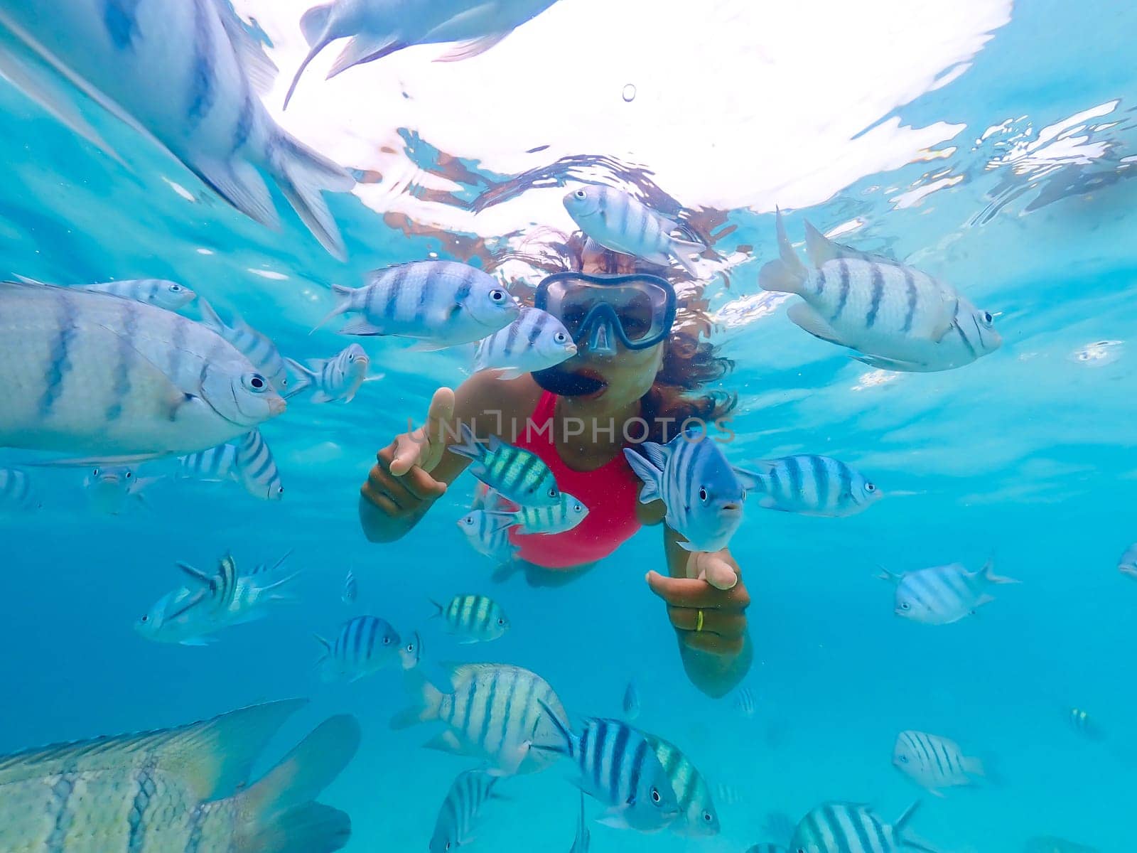 Young Asian woman on a snorkeling trip at Samaesan Thailand. dive underwater with fishes in the coral reef sea pool. Travel lifestyle, watersport adventure, swim activity on a summer beach holiday