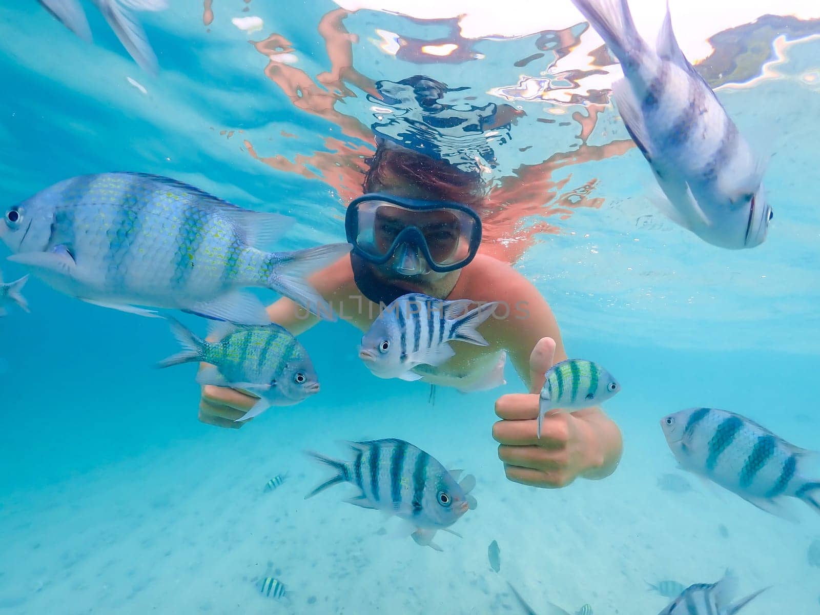 young men at a snorkeling trip in Samaesan Thailand dive underwater with nemo fishes in the coral reef sea pool. Travel lifestyle, watersport adventure, swim activity on a summer beach holiday