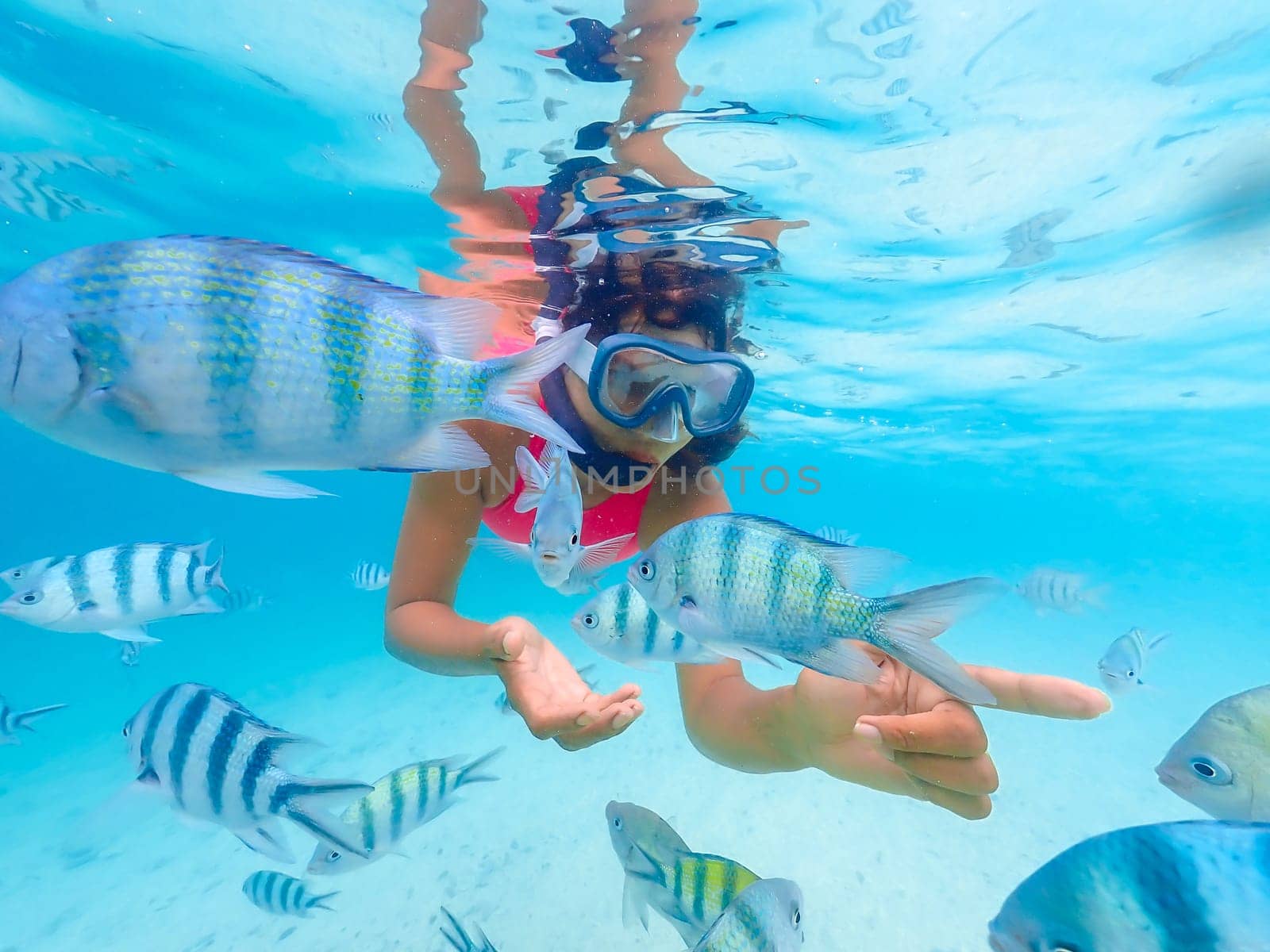 snorkeling trip at Samaesan Thailand dive underwater with fishes in the coral reef sea pool by fokkebok