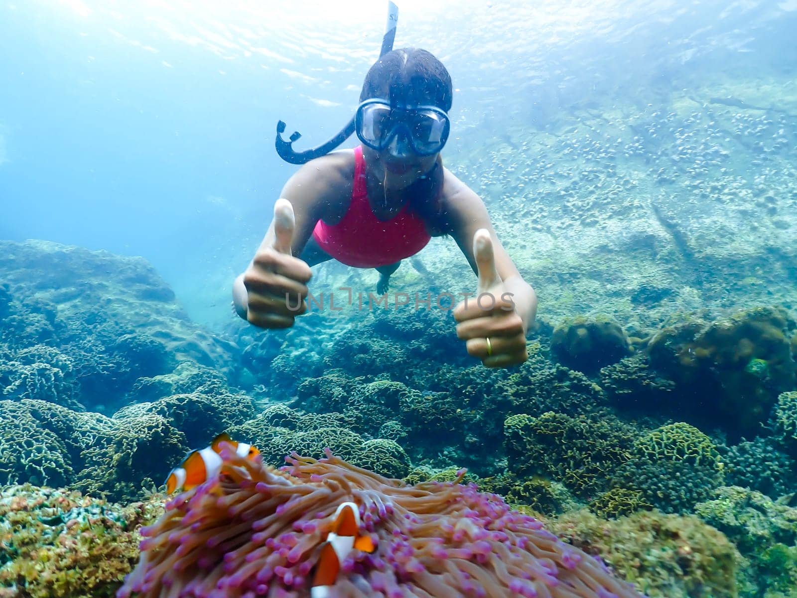 snorkeling trip at Samaesan Thailand dive underwater with fishes in the coral reef sea pool by fokkebok