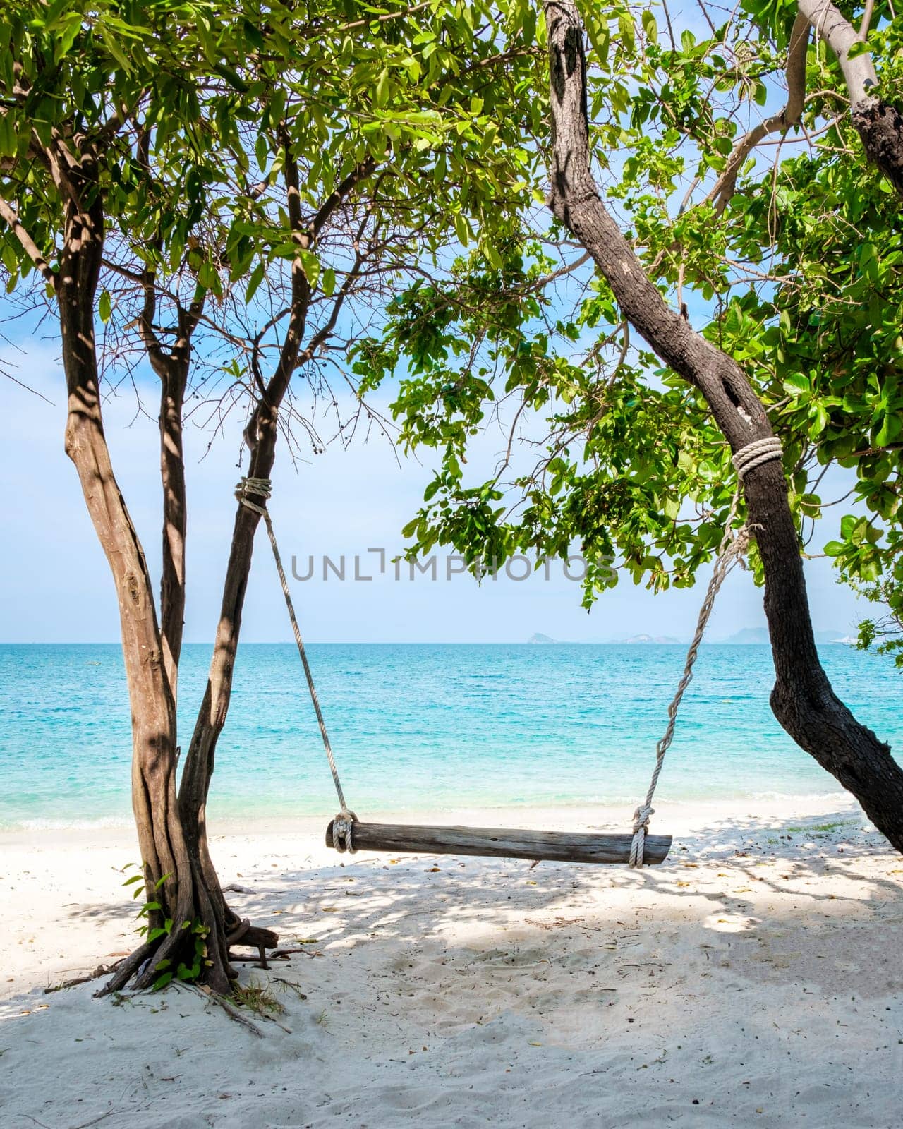 a swing under a tree at the beach of Ko Kham Island Sattahip Chonburi Samaesan Thailand by fokkebok