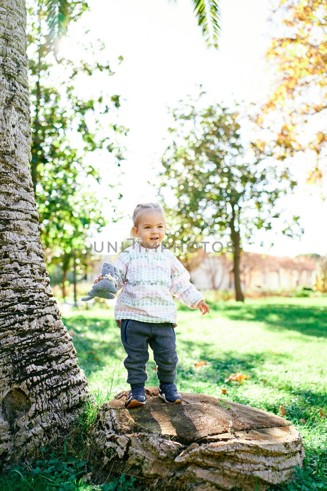 Little smiling girl with a soft toy in her hand stands on a huge stump in the garden. High quality photo