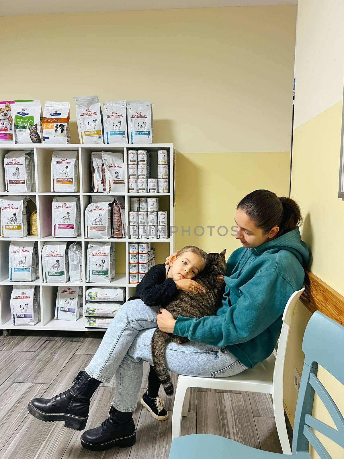 Little girl with her mother sitting with a cat in a veterinary clinic. High quality photo