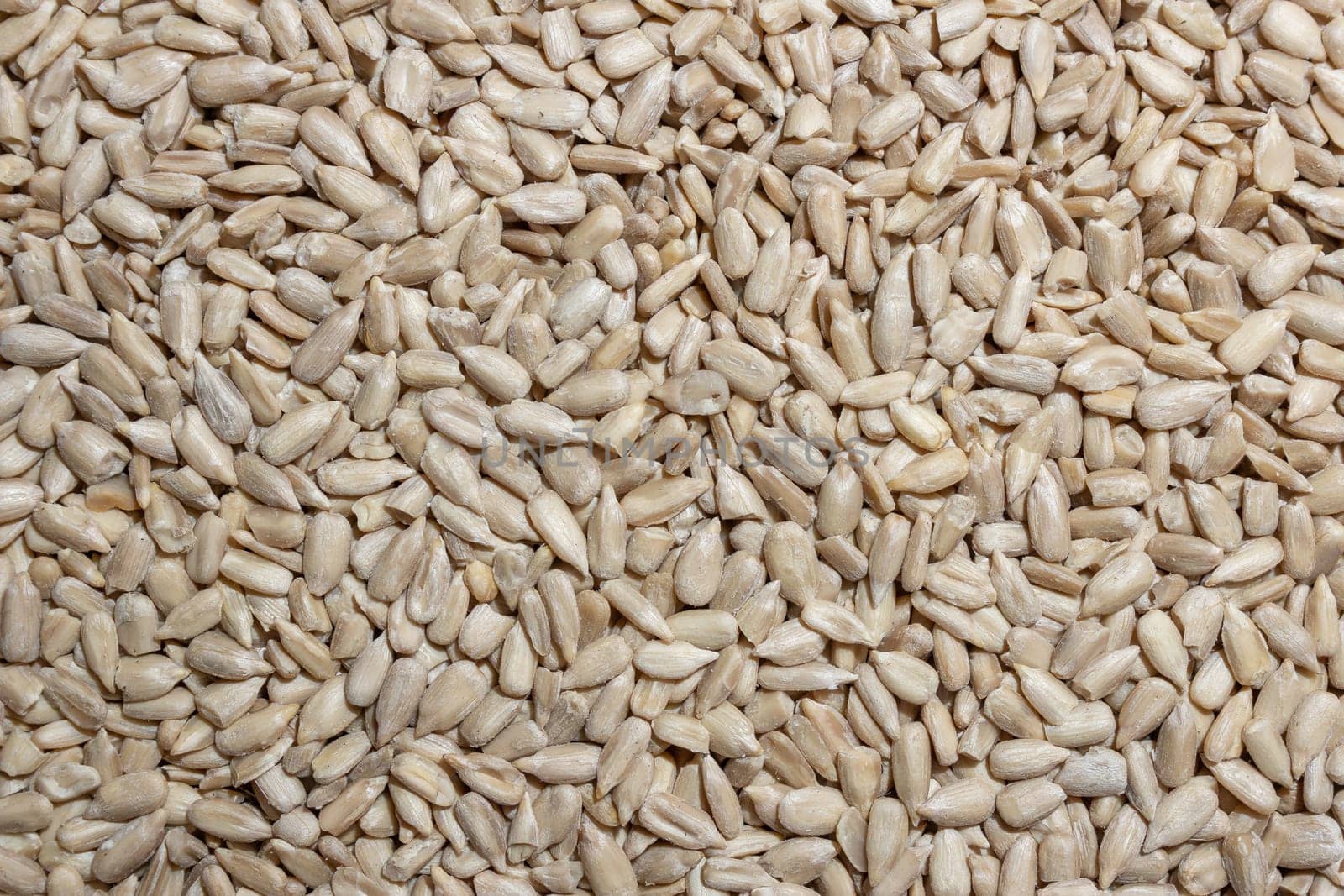 Peeled Sunflower Seeds Background: A Culinary Canvas of Shell-free Sunflower Seeds, Creating a Lively and Textured Background for Gourmet Cooking - Top View, Flat Lay