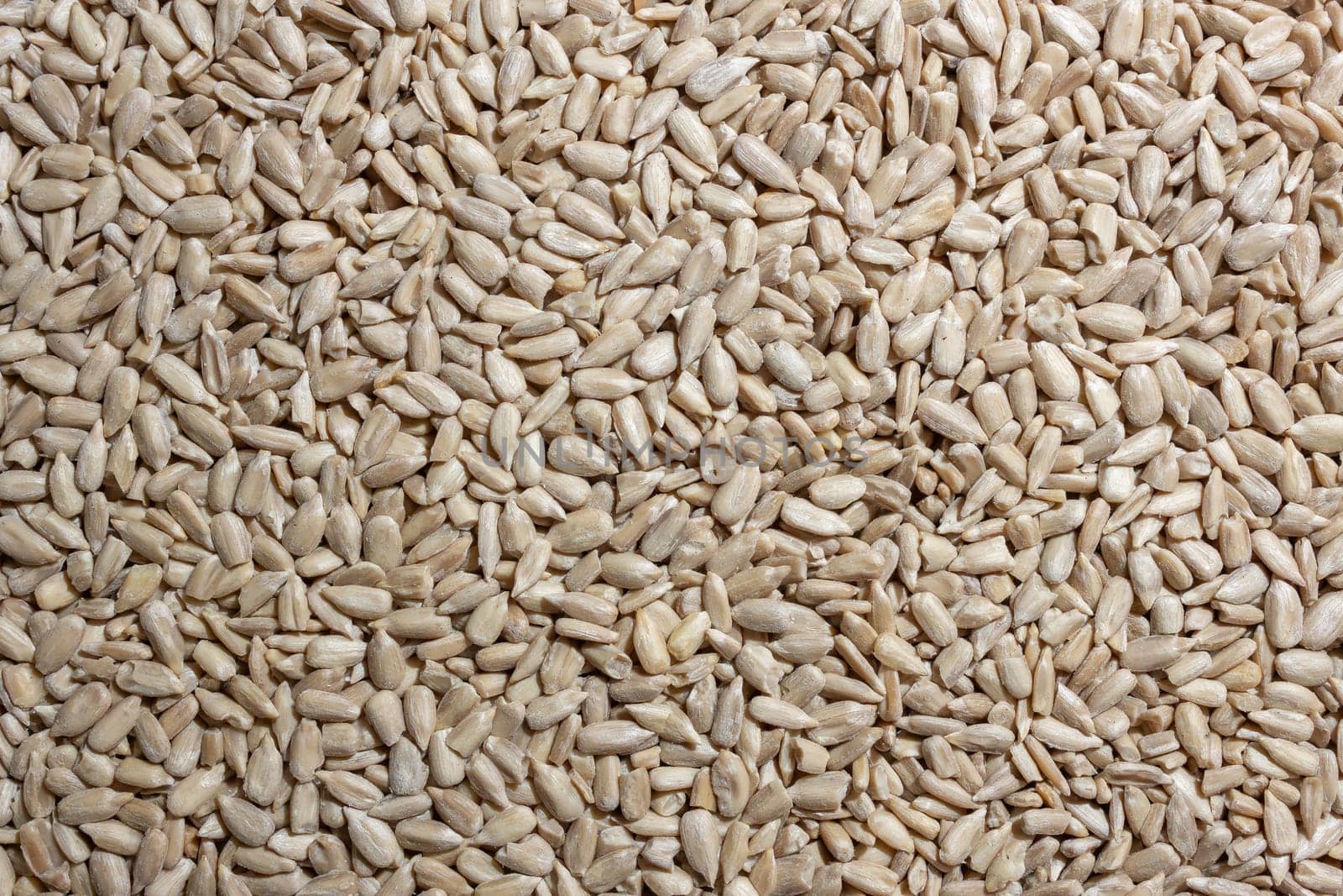Peeled Sunflower Seeds Background: A Culinary Canvas of Shell-free Sunflower Seeds, Creating a Lively and Textured Background for Gourmet Cooking - Top View, Flat Lay