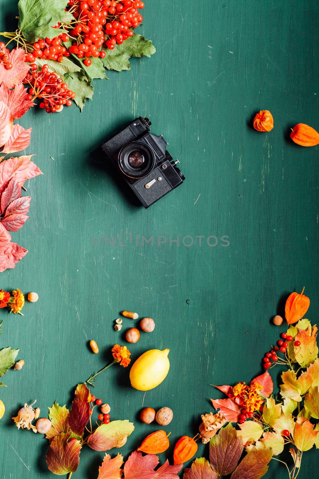 yellow and Red leaves wooden background old camera