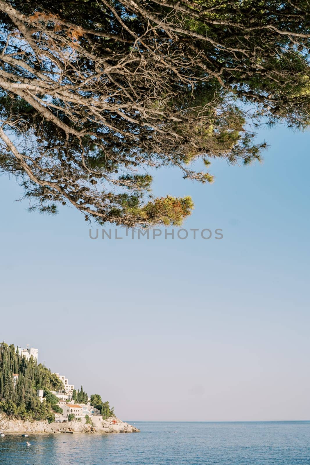 View from under the green branches to the mountainous sea coast with houses by Nadtochiy
