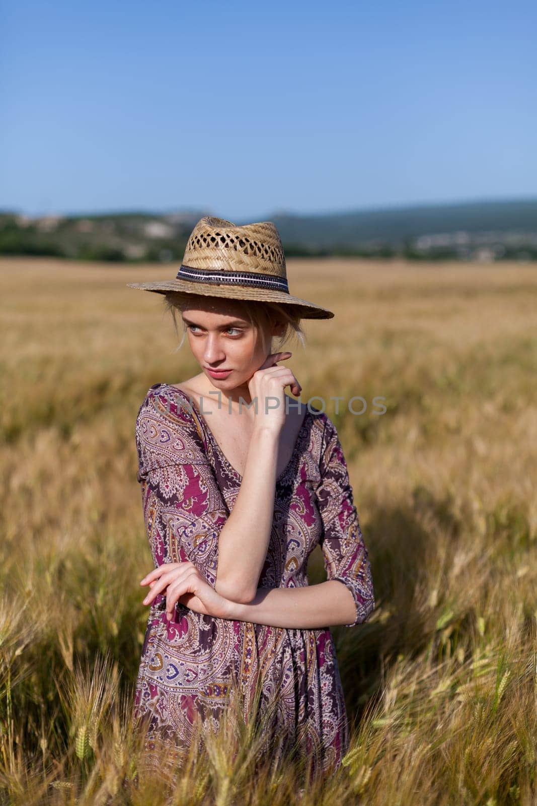 Beautiful fashionable woman blonde in a dress in a wheat field before harvest