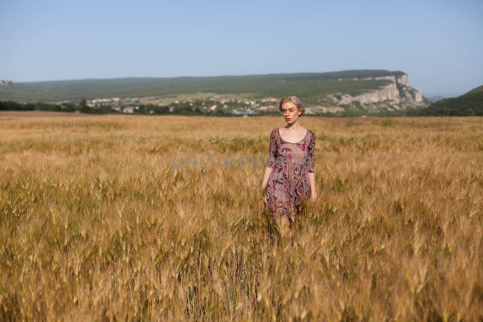Beautiful fashionable woman blonde in a dress in a wheat field before harvest