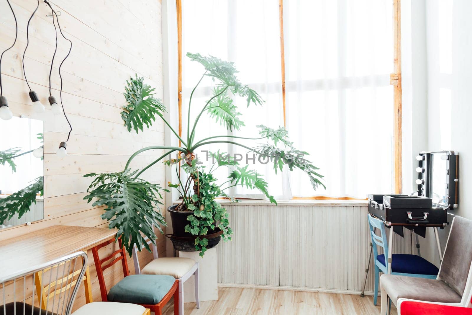 green house plant in the interior of the make-up artist's dressing room