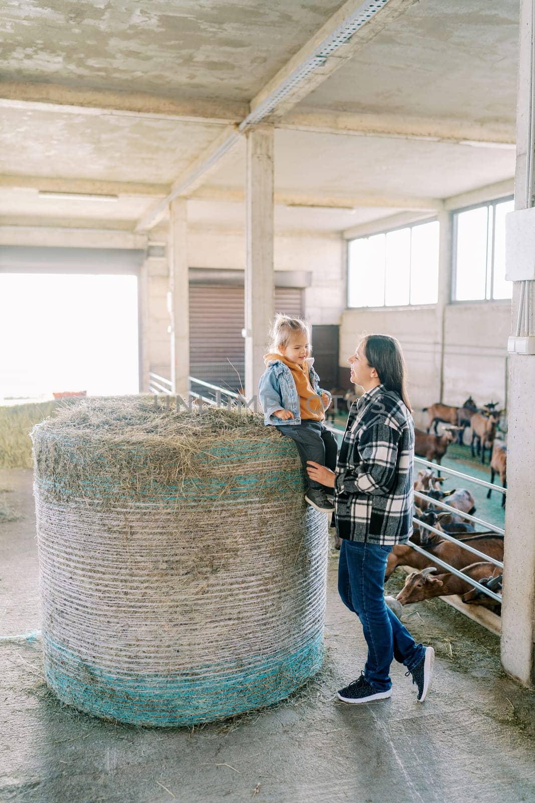 Mom stands next to a little girl sitting on a round haystack near the goat pens. High quality photo