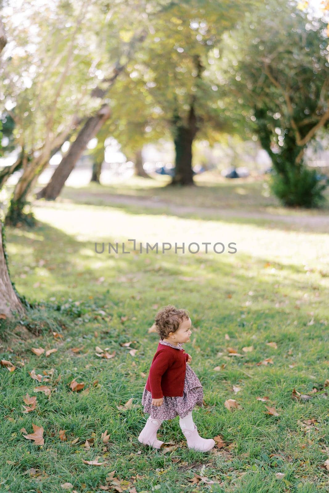 Little girl walks along the fallen leaves on a green lawn. Side view. High quality photo